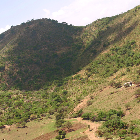 Cerro Bola de Viejo uno de los tesoros naturales de la ribera del Lago de Chapala un destino que cautiva por sus paisajes montañosos su riqueza natural y las espectaculares vistas panorámicas que ofrece desde sus puntos más altos que combina la aventura, tranquilidad y vistas excepcionales.